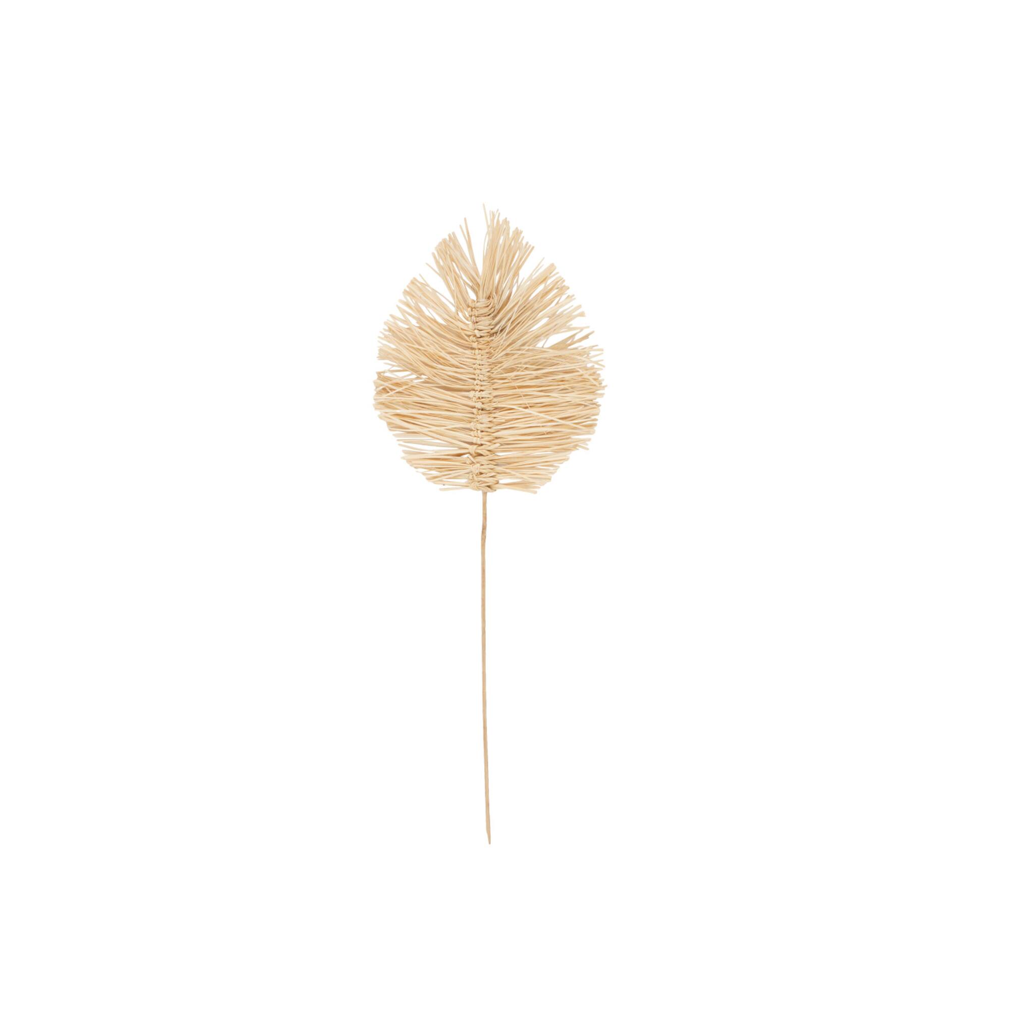 32" Light Brown Dried Grass Spear-Shaped Foliage with Sharp Stems
